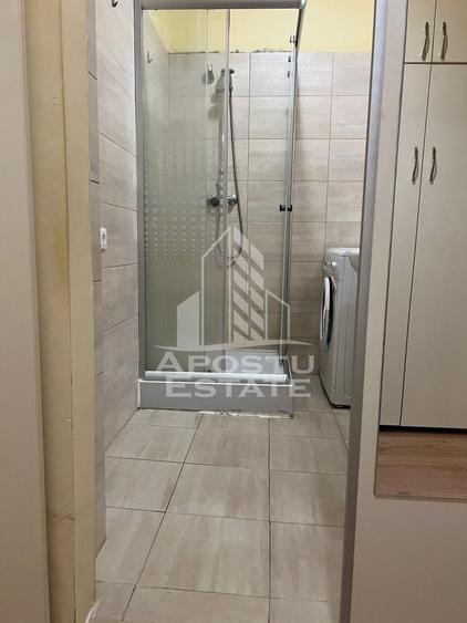 Apartament 1 camera, Zona Take Ionescu - 9