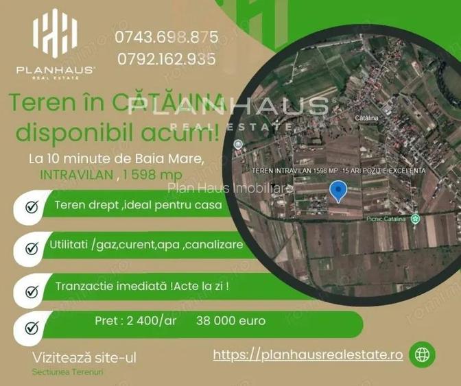 Teren intravilan Catalina, 1 598 mp ,acces din drum principal