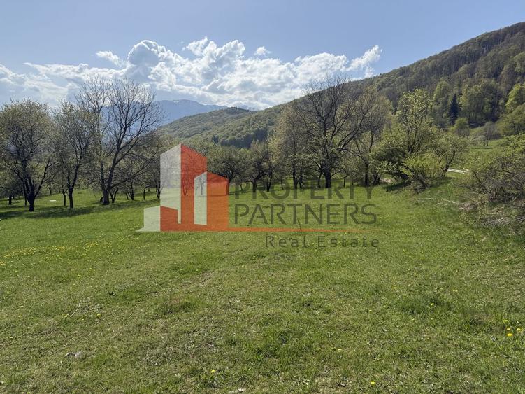 Terenuri Bran - Predelut  Priveliște către Bucegi și Postăvaru - 1