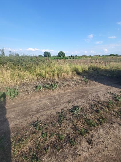 Teren agricol extravilan de 2 mp, în Ghimpați