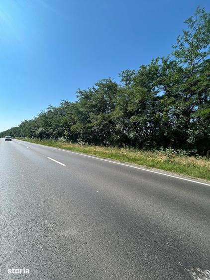 Teren de 11000 mp, în Frumușani