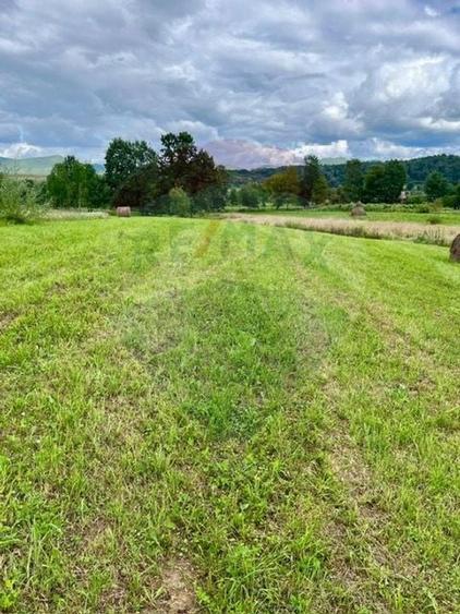 Teren 1,884mp Berbesti / Drumul secundar - 1