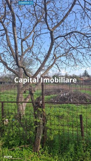 Teren 1600 mp cu dubla deschidere - ideal pentru dezvoltare urbana - 1