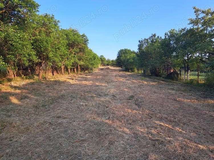 Casa cu anexe gospodaresti si teren aferent, 36 ari. - 7