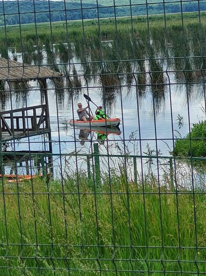 Teren intravilan situat într-o zonă superbă , vis-a-vis de Parcul Natural Comana - 4