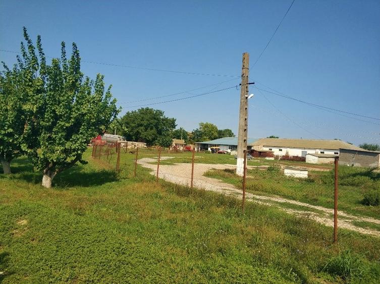 Ferma cu hale 3000 mp si teren 12000 mp, 30 km de Constanta - 6