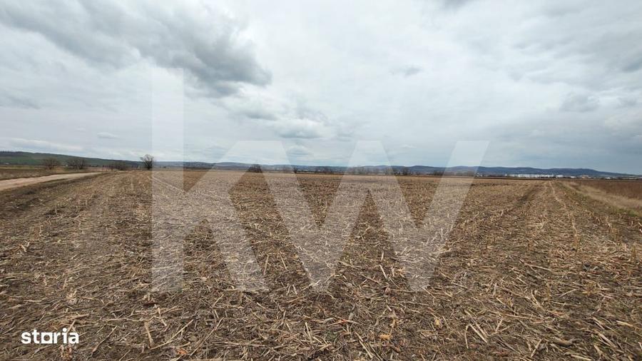 Teren Intravilan 21.439mp S+P+3E+ER deschidere 77m Calea Surii Mici - 3