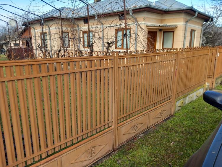 Casă de vânzare - jud. Buzău, Sat Lanurile, com. Ziduri - 1