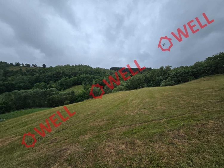 De vânzare teren extravilan loc. Sărămaș, com. Barcani - 6