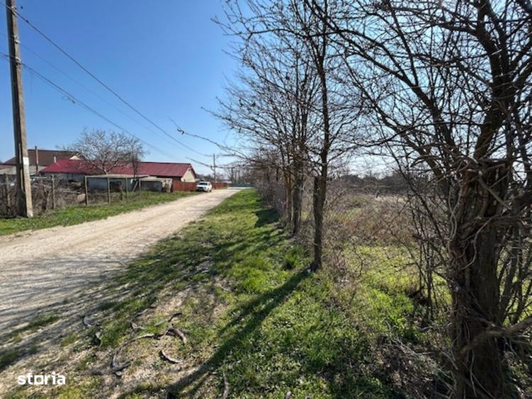 Vadu Corbu Teren superb 1000 mp investitie sau casa de vacanta - 2