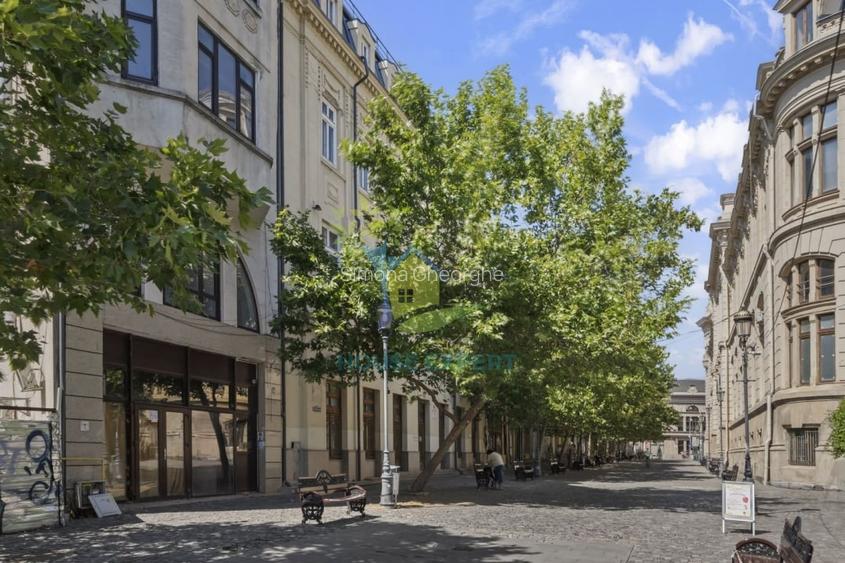 Rara avis in centrul Bucurestiului