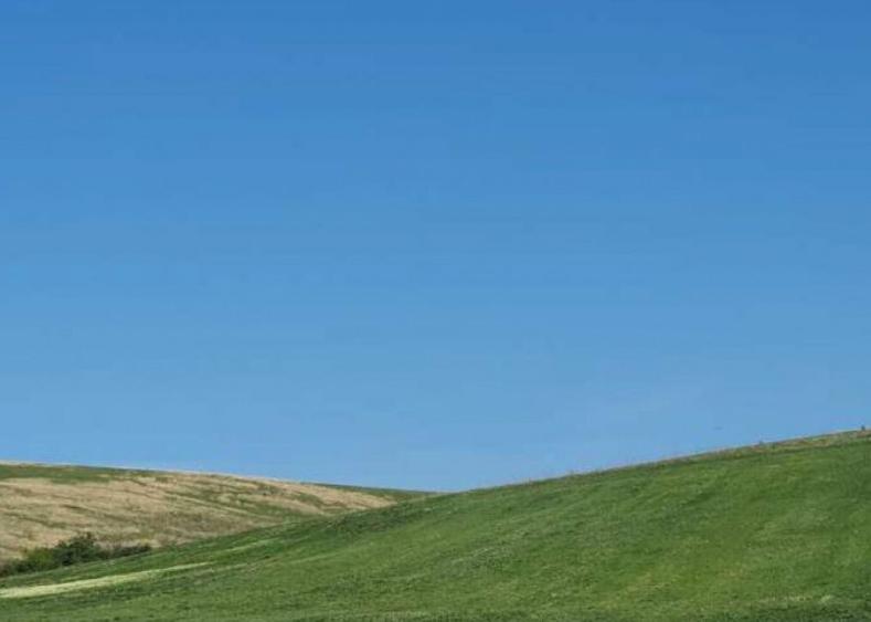 Cota de 1/2 din teren extravilan, comuna Rogova, Jud Mehe... - 3