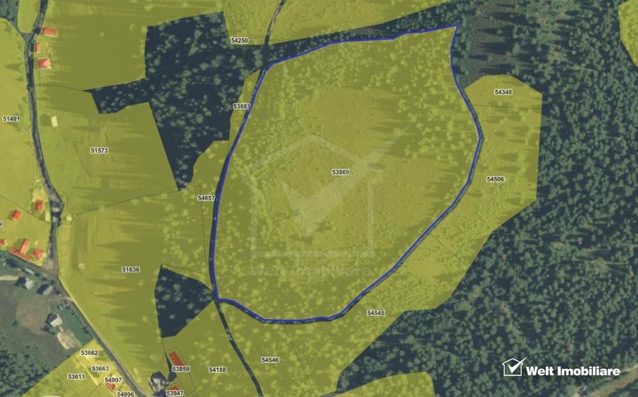 Se vinde teren cat un munte in Apuseni - Poiana Horea - 17