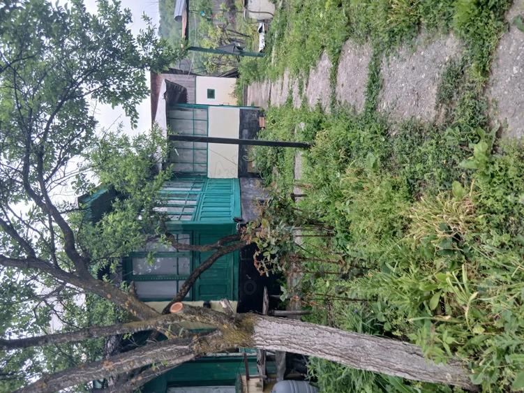 Casa cu doua terenuri de vanzare - 2