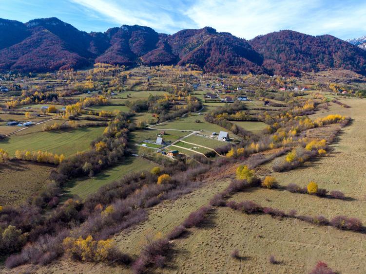 Teren intravilan 5723mp Zarnesti Tohanita- case de vacanta,investitie in turism - 14