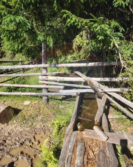 Teren 24,581mp Panaci / Strada Mihaile? - 8