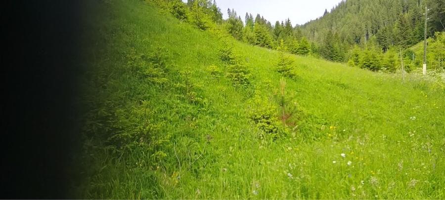 Teren munte situat la poalele muntelui Ceahlau - 1