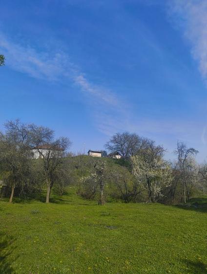 Casa de caramida + teren, sat Bratesti comuna Albesti la 25 de minute de Curtea de Arges! - 7