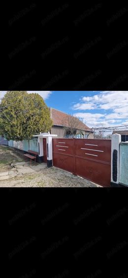 De vanzare proprietate in Com Madaras sat Ianosda - 6