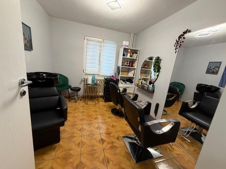 Dristor Nicolae Grigorescu - Camil Ressu - Scoala 88 - langa Parc IOR - 4