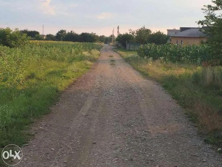 Teren Ghermanesti-Ciofliceni, in com. Snagov, strada Stefanita Voda. Negociabil - 8