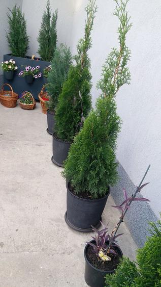 Casa de vanzare ora? Pantelimon - 3