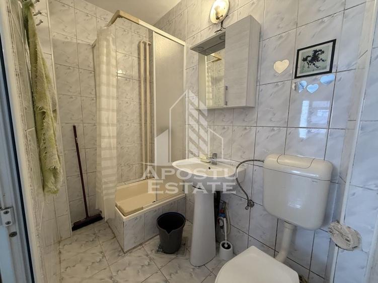 Apartament cu o cameră, zona Take Ionescu - 3