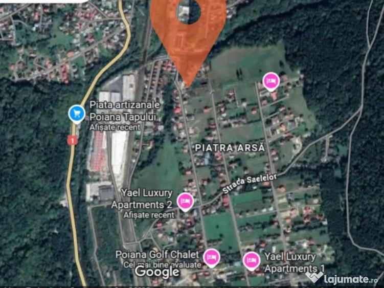 Teren 1407 mp Poiana Tapului. Vedere Bucegi .Tripla Deschide - 7