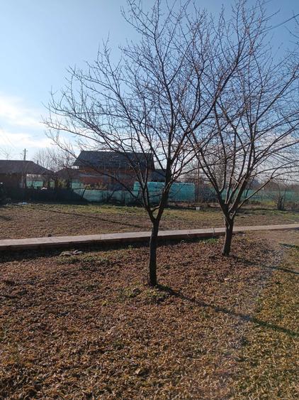 Vand casa Targsoru nou - 2