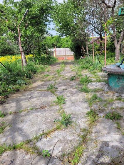Teren 2712 mp Mischii, sat. Urechesti, Str Florilor, Nr. 56 - INTRAVILAN - 6