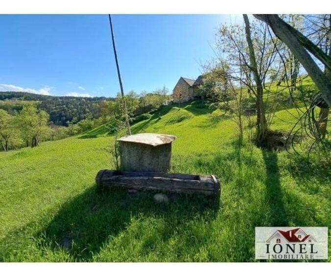 Casa de vanzare cu 46774 mp teren in zona Vintu - 2