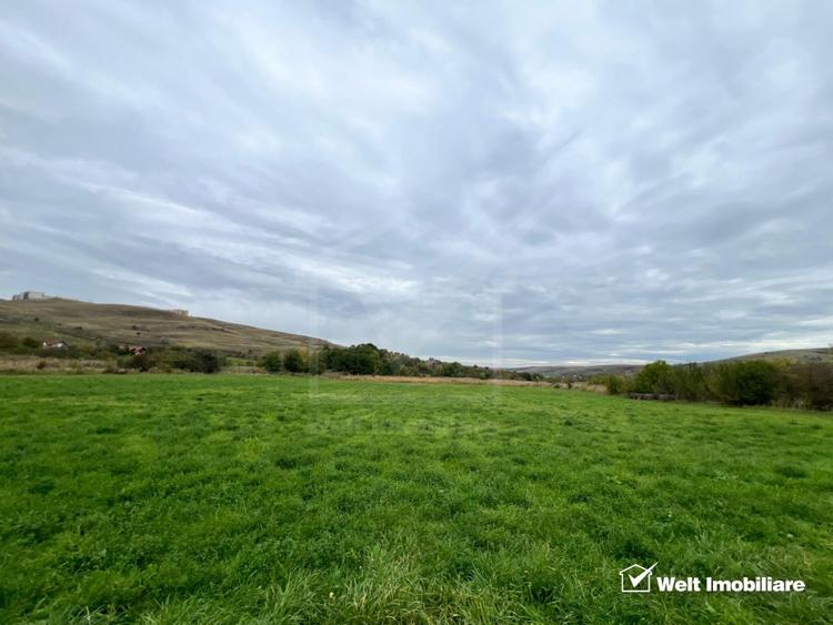 Teren 800mp pt casa individuala, PUZ și HCL colonia Sopor - 4