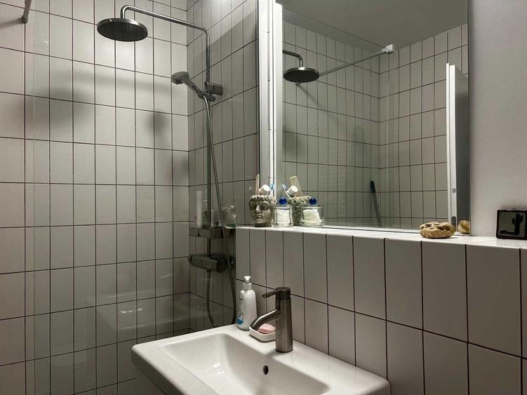 Apartament 2 camere de inchiriat zona Banu Manta Kiseleff - 7