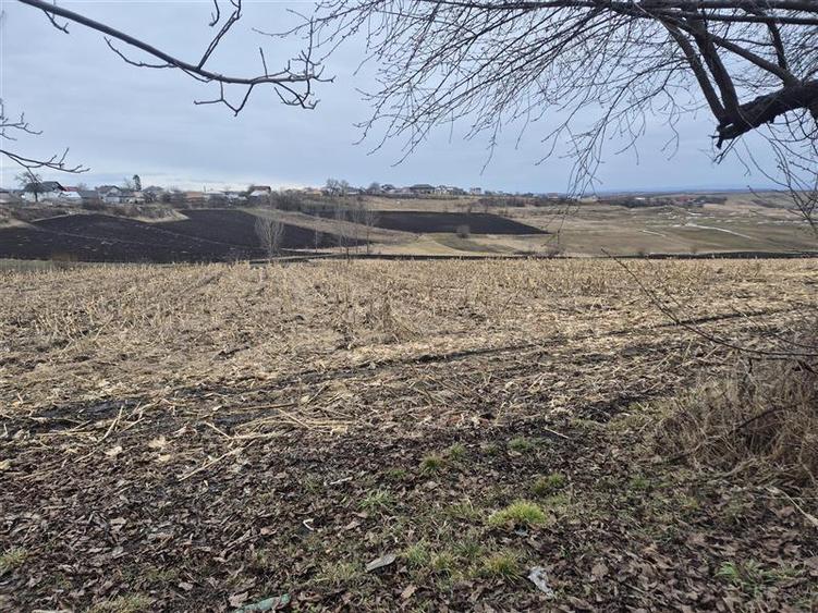 Teren Moara Nica - zona Scolii - 1