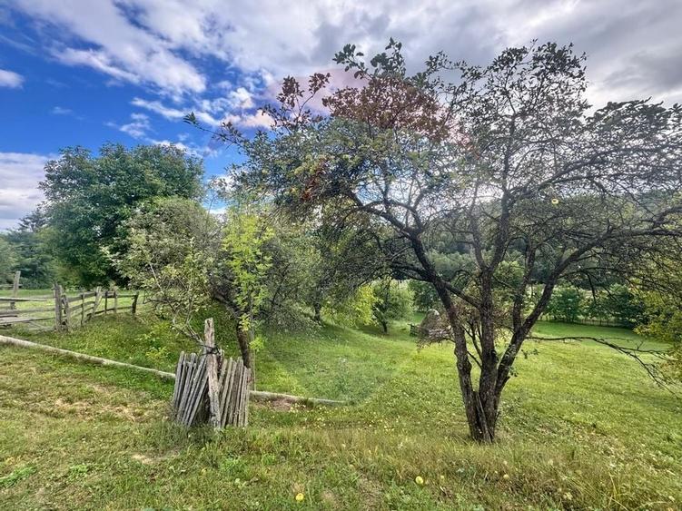 O oportunitate unica in inima naturii -- 6.605 mp in Candesti - 8