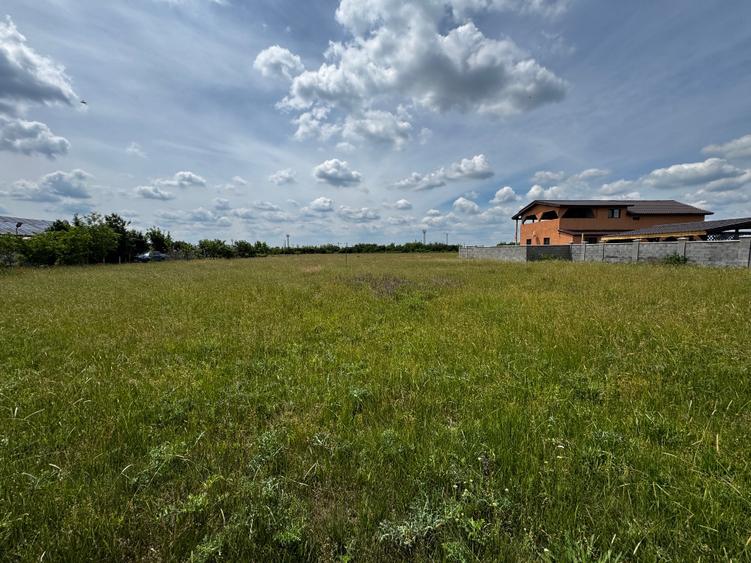 Teren casă duplex Torontalului Timisoara  - 3