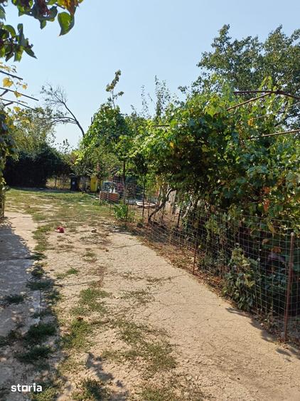 Casă cu 3 camere cu Teren 4000 Mp în Calea București