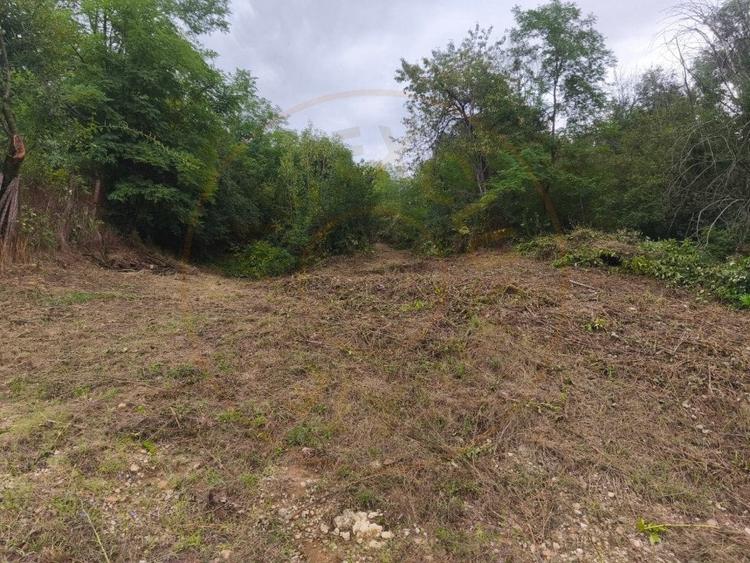 Teren 2552 mp x 14€ Mosoaia Hintesti -Strada  Basangesti - 1