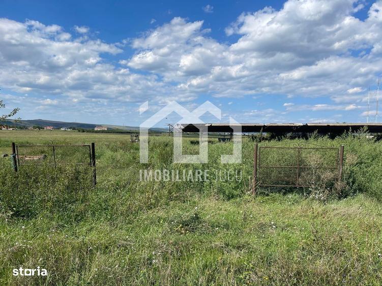 Teren 3000 mp Jucu de Sus | 4 case | utilitati | drum judetean | 60/m - 7
