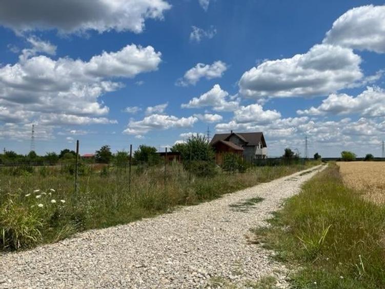 Terenuri Peris - loturi de 800 mp +130mp drum acces - 1