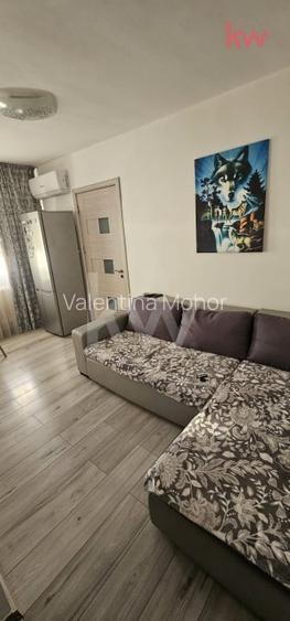 Apartament 2 camere V. Rosie - ideal pentru studenti sau investitie inteligenta