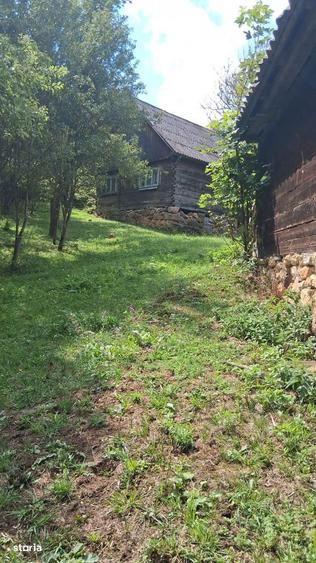 De vanzare casa cu teren Albac 5000m2 - 2