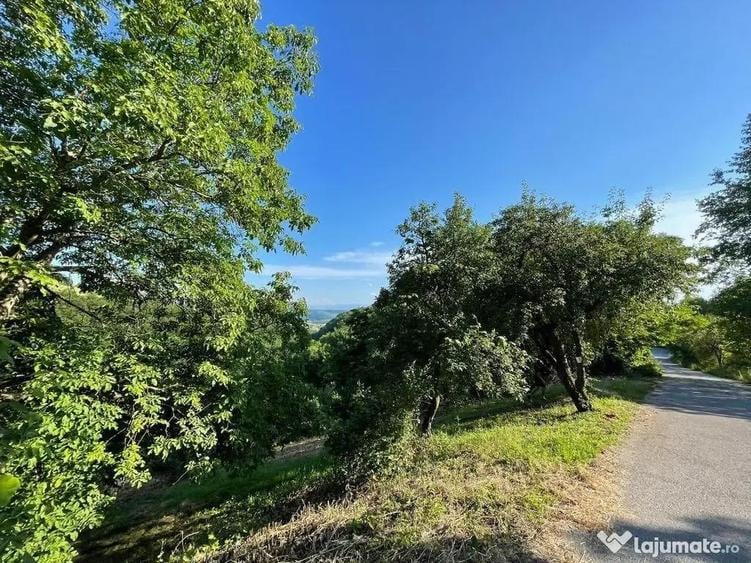 Teren zona turistica Rosia - 7