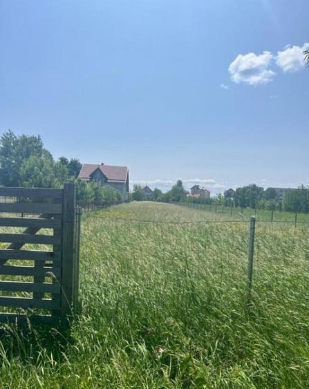 Teren intravilan ,2000 mp,Radauti - 5