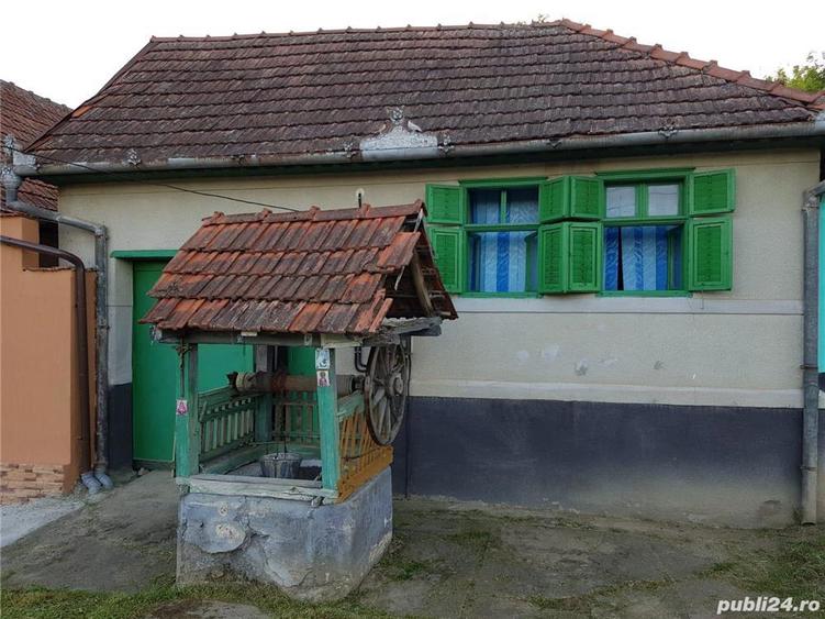 Vand casa de vacan?a Farliug - 1