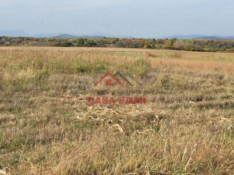 Teren intravilan in Baicoi zona targului--10.000mp--5e - 1