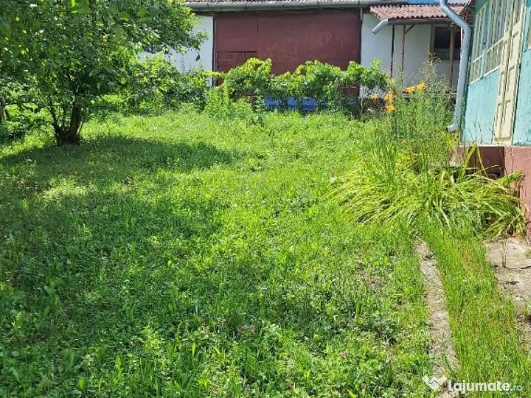 De vanzare casa teren 6000mp sat Tioltiur com. Cornesti jud. Cluj - 5