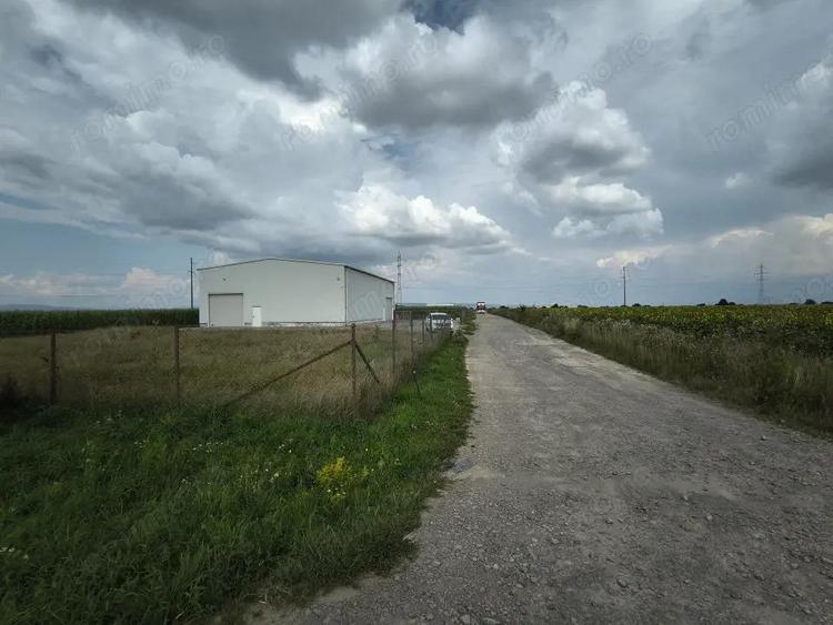 Teren industrial Ozun - Sfantul Gheorghe 11.800 mp - 3