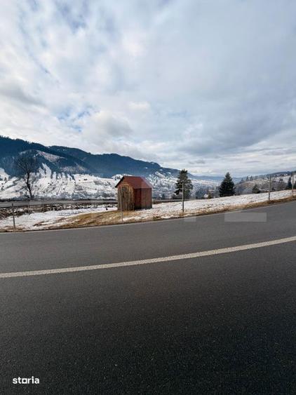 Teren extravilan 8290 mp, Front 50ml - Sadova - Panorama Bucovinei - 1