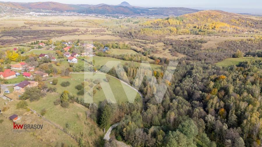 Vanzare teren intravilan 37723 mp Zarnesti Tohanita - 3